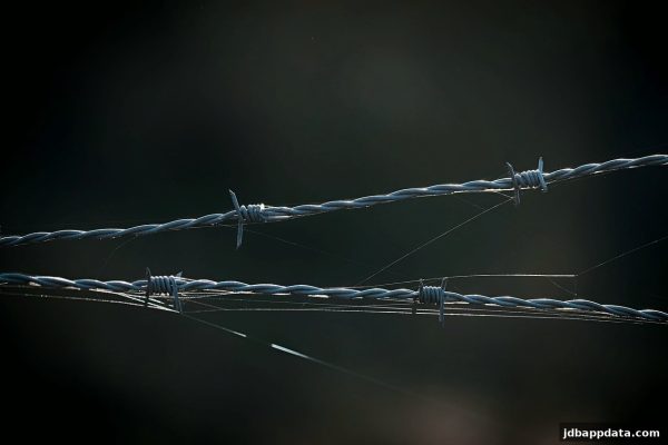安全享受街机乐趣：从jdb电子下载地址出发，打造你的防骗攻略